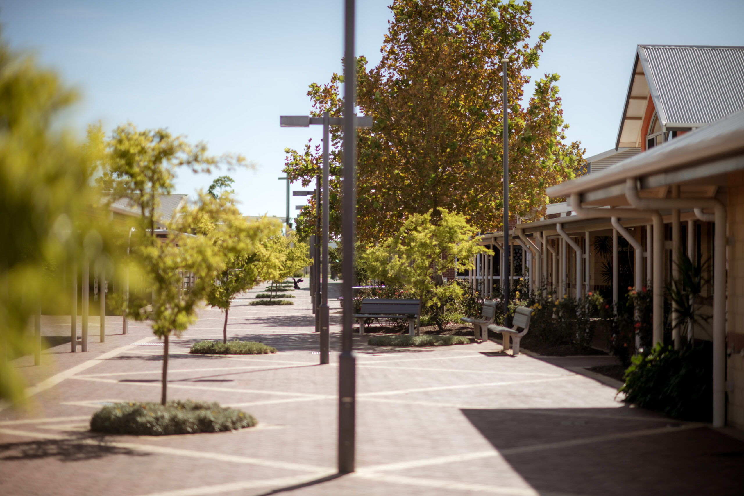 Alumni Holy Cross College Alumni Holy Cross College